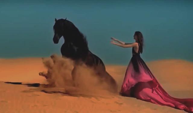 开云移动端-【伯辣图】旅馆里的过客，谁不是外围？